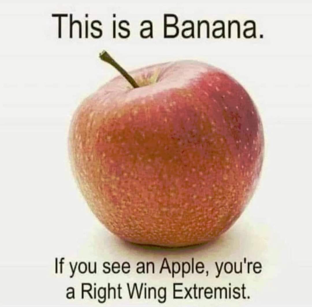 🆁🅴🅰🅻🅸🆃🆈 (@reality2k) on Twitter photo <a href="/hanifbali/">Hanif Bali</a> Åsiktskorridoren fallerar. De som sade sig gilla olika primalskriker över att åsikter får framföras; bemöta dem görs ej. Klarar vi? Klarar vi hålla motståndsrörelsen i fyra år till, nu utan majoritetsmakt, där vi signalerar att alla som inte håller med är onda? Vi måste försöka😡 <a href="/hanifbali/">Hanif Bali</a> Åsiktskorridoren fallerar. De som sade sig gilla olika primalskriker över att åsikter får framföras; bemöta dem görs ej. Klarar vi? Klarar vi hålla motståndsrörelsen i fyra år till, nu utan majoritetsmakt, där vi signalerar att alla som inte håller med är onda? Vi måste försöka😡