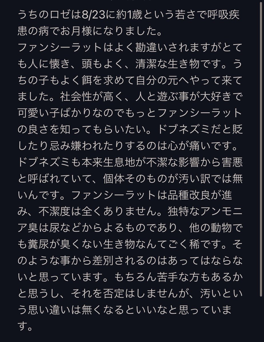 renimal_kingdom's tweet photo. みなさまラットはお好きですか？
私なりに思うことをサラッとかかせていただきました。  
読んでくれたら幸いです😌

#ファンシーラット #ファンシーラット好きと繋がりたい https://t.co/YlBX3xshZT