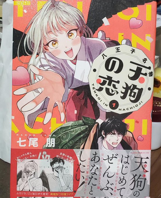 ルリドラゴン買ったときにふと目に止まって買ってみたこの漫画、結構面白かったです。押しかけ女房タイプのマンガ好きなんですよ。 