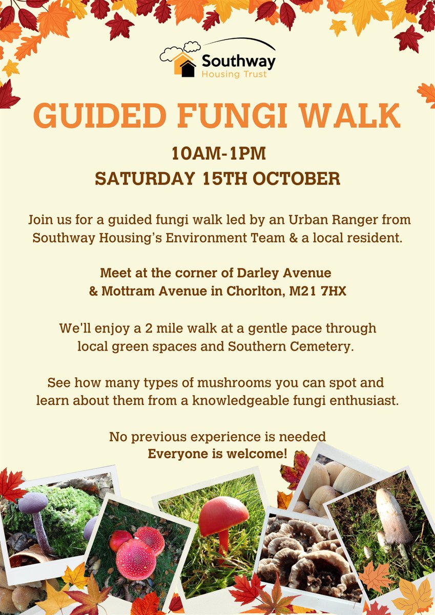 Southway Housing Trust tweet media