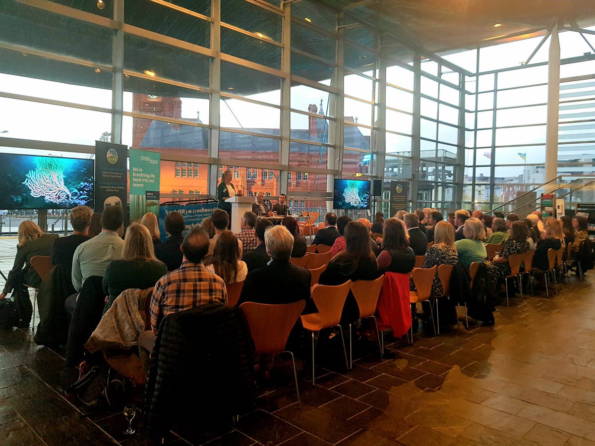 🌊 Fantastic to attend the Powering Healthy Seas event at <a href="/SeneddWales/">Welsh Parliament</a> hosted by <a href="/JFinchSaunders/">Janet E Finch-Saunders</a> alongside <a href="/RSPBCymru/">RSPB Cymru</a> and <a href="/mcsuk/">Marine Conservation Society</a>.

🐬 As the <a href="/SeneddWales/">Welsh Parliament</a> Common Dolphin Champion, I know how crucially important it is to deliver  healthier seas.