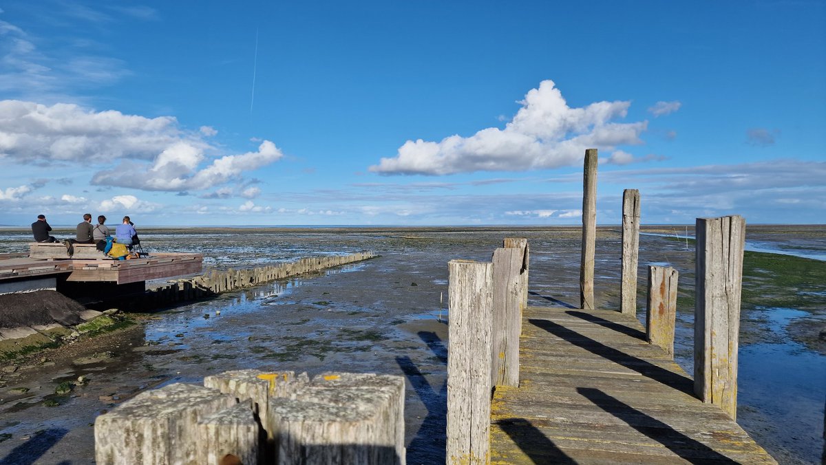 Zaterdag 8 oktober is het Wereld Trekvogeldag. De vogeltrek is misschien wel één van de boeiendste verschijnselen in onze natuur.  Wil je zelf de vogeltrek beleven en je verwonderen over hun reis vol gevaren? Ga dan naar deze nationale parken beleefdenationaleparken.nl/beleef-de-trek…