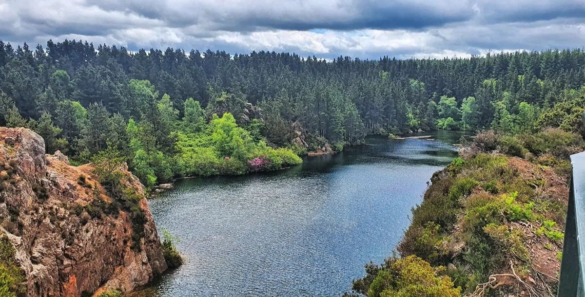 Forth mountain the quarry here in wexford if you like nature walks this is the place to be
I walk, I look, I see, I stop, I photograph 📸 
#walks #photography #wexford #Lake
#forthmountain #naturelovers 
#mountainview #nature #naturelover #walksinnature #naturephotography