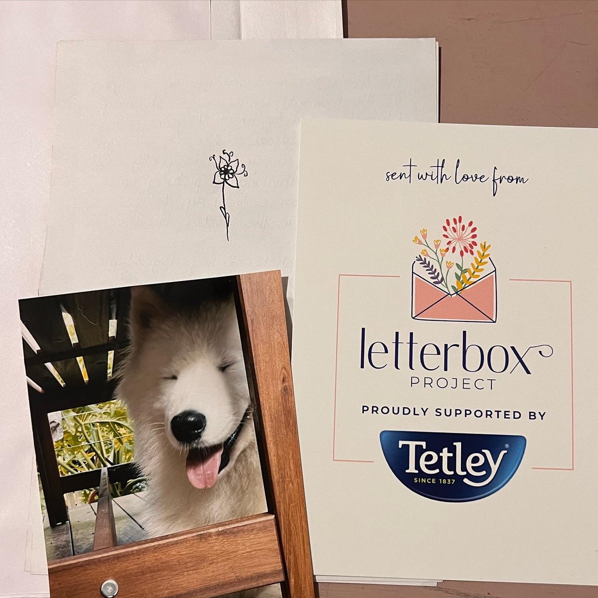 ConnectedAu's tweet photo. Furry friends 🐩🐶🐰🐈💕 

Sharing some of the beautiful faces we’ve seen this week sending joy. Would these make you happy in your mailbox?! 📮💕💌

#letters #penpal #mailbox #mail #letterbox #theletterboxproject #connectedau https://t.co/YSenyuy76C