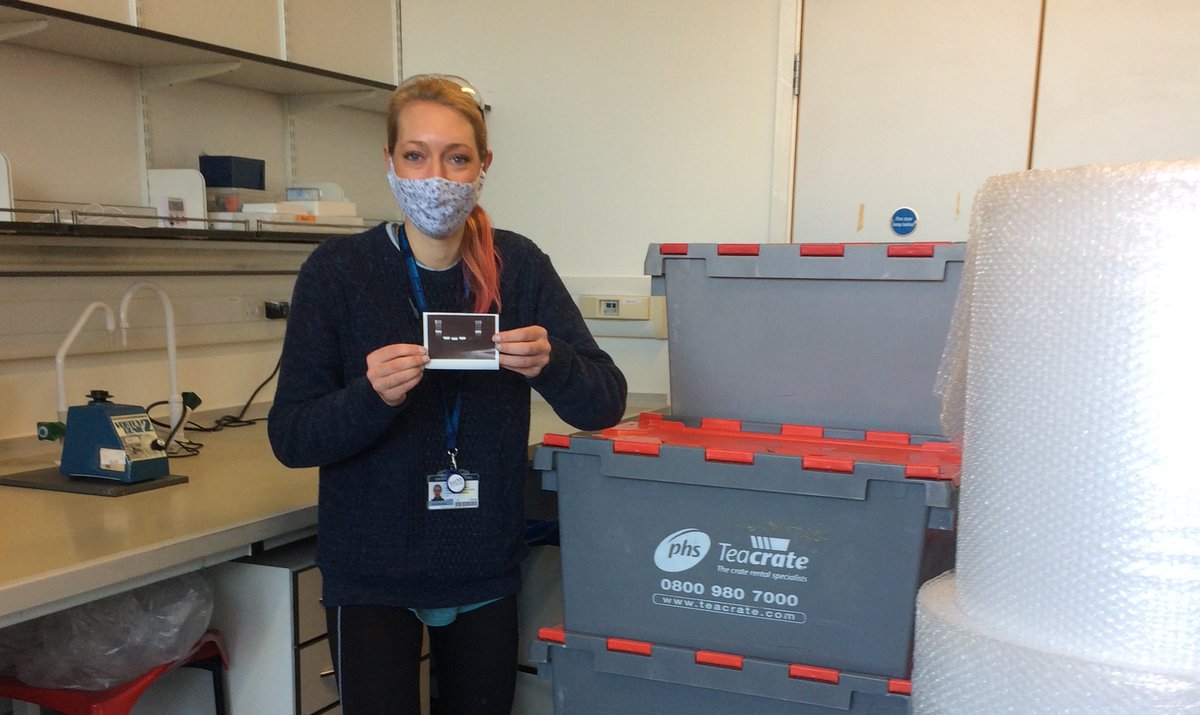 Eva Gluenz (@gluenzlab) on Twitter photo Really proud today of <a href="/SophiaFochler/">SOPHIA FOCHLER</a> for submitting her DPhil thesis four years after starting <a href="/Dunn_School/">Dunn_School (now @DunnSchool.bsky.social)</a> - Experimenting through lockdowns and lab move to figure out what controls flagellar movement in Leishmania. Really proud today of <a href="/SophiaFochler/">SOPHIA FOCHLER</a> for submitting her DPhil thesis four years after starting <a href="/Dunn_School/">Dunn_School (now @DunnSchool.bsky.social)</a> - Experimenting through lockdowns and lab move to figure out what controls flagellar movement in Leishmania.