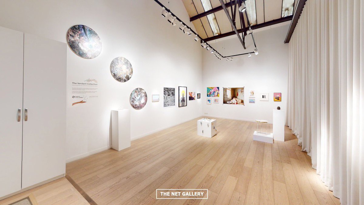 thenetgallery tweet media