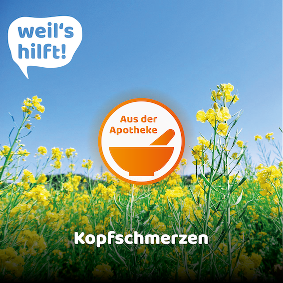 DAMiD_Presse's tweet photo. #Kopfschmerzen lassen sich auf verschiedene Arten behandeln. Dabei spielt die Ursache eine wichtige Rolle: https://t.co/pBmarpkRdZ https://t.co/4VhyQVB7wB