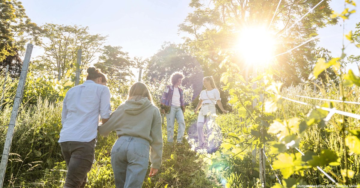 Stuttgart Convention Bureau tweet media