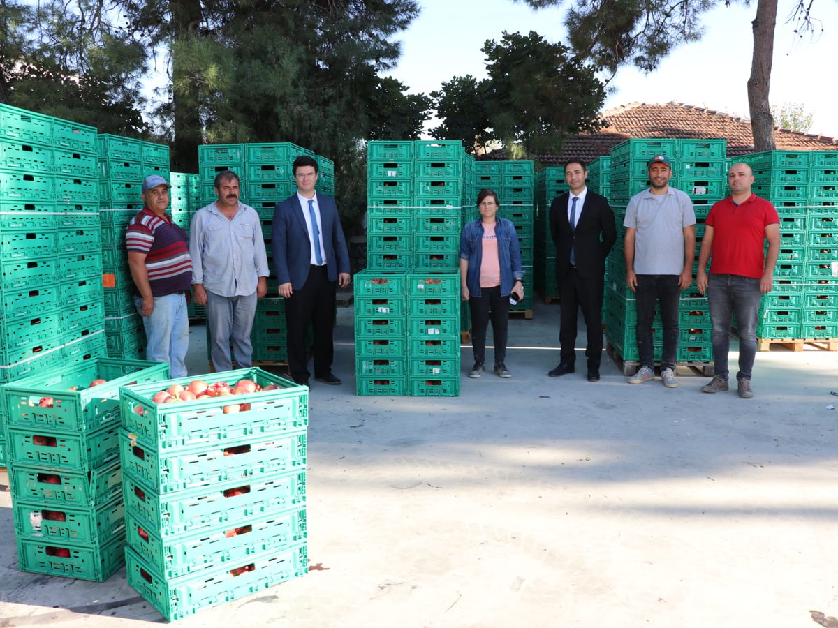 bolge_izmir_tkk's tweet photo. Bölge Birliğimiz çalışma alanında yetişen ‘’Hicaz narı’’ alımlarımız başlamış olup, Zincir marketlere sevkiyatlarımız devam etmektedir. 
Ürünün tüm işlemesi tarlada gerçekleştirilip marketlere soğuk hava kamyonlarıyla sevk edilip tüketiciye sunulmaktadır. https://t.co/EgcFxBg5kr