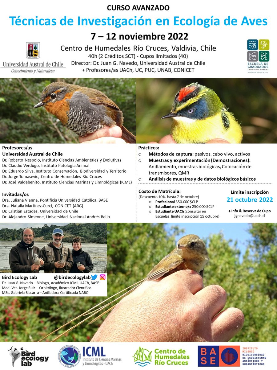 birdecologylab tweet media