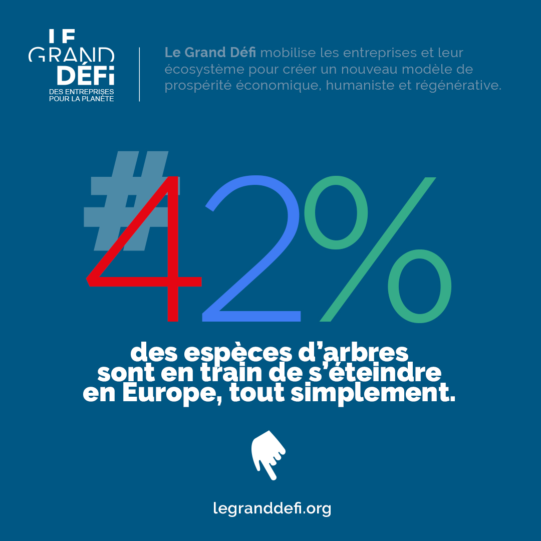 m2ilifesciences's tweet photo. "42% des espèces d’arbres en Europe sont en train de s’éteindre tout simplement."  

Ce chiffre n'est pas inventé, nous l'avons appris lors de l'intervention du @INSB_CNRS. 
Nos forêts sont précieuses contre la lutte du changement climatique. 
#granddefi #Ecologie #avenir https://t.co/M09pRWsDnU