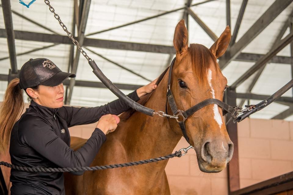 GlenX Lodge (@glenxlodge) on Twitter photo There’s no better feeling than when months of work come together 🙌
Couldn’t be happier with today’s results with another super successful breeze up session.
Thanks for the photo <a href="/FastTrackPhotog/">SHARON CHAPMAN</a> <a href="/MagicMillions/">Magic Millions</a> There’s no better feeling than when months of work come together 🙌
Couldn’t be happier with today’s results with another super successful breeze up session.
Thanks for the photo <a href="/FastTrackPhotog/">SHARON CHAPMAN</a> <a href="/MagicMillions/">Magic Millions</a>