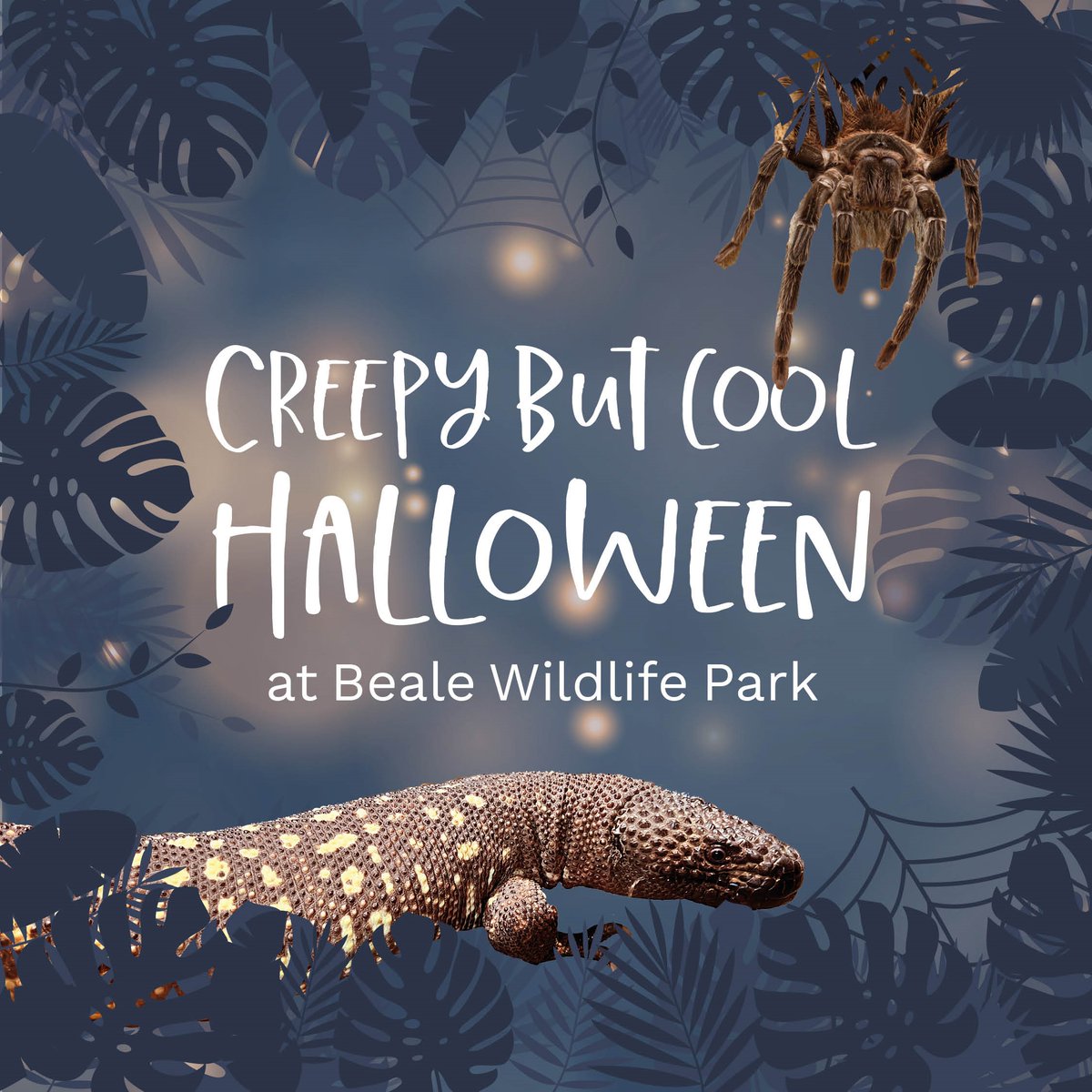 Beale Wildlife Park tweet media