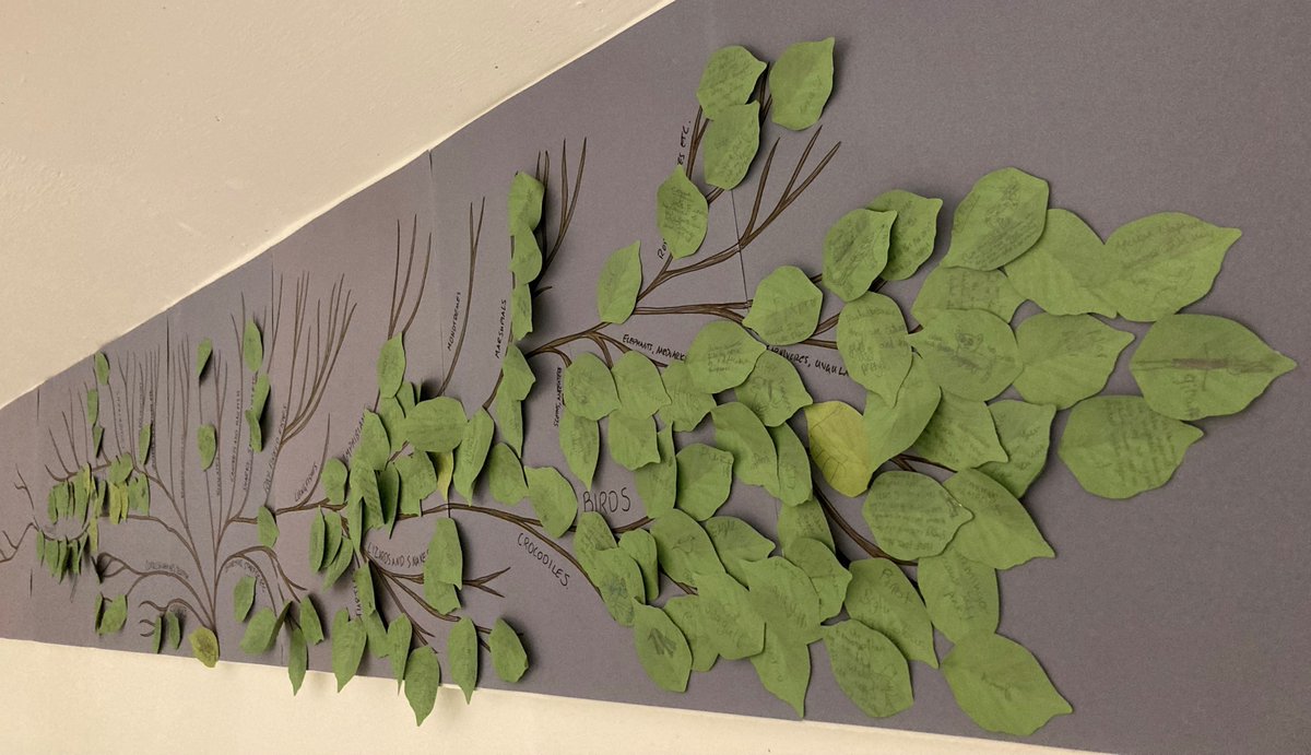 Museum Of Zoology Cambridge On Twitter Listen To Your Families What museum-of-zoology-cambridge-on-twitter-listen-to-your-families-what