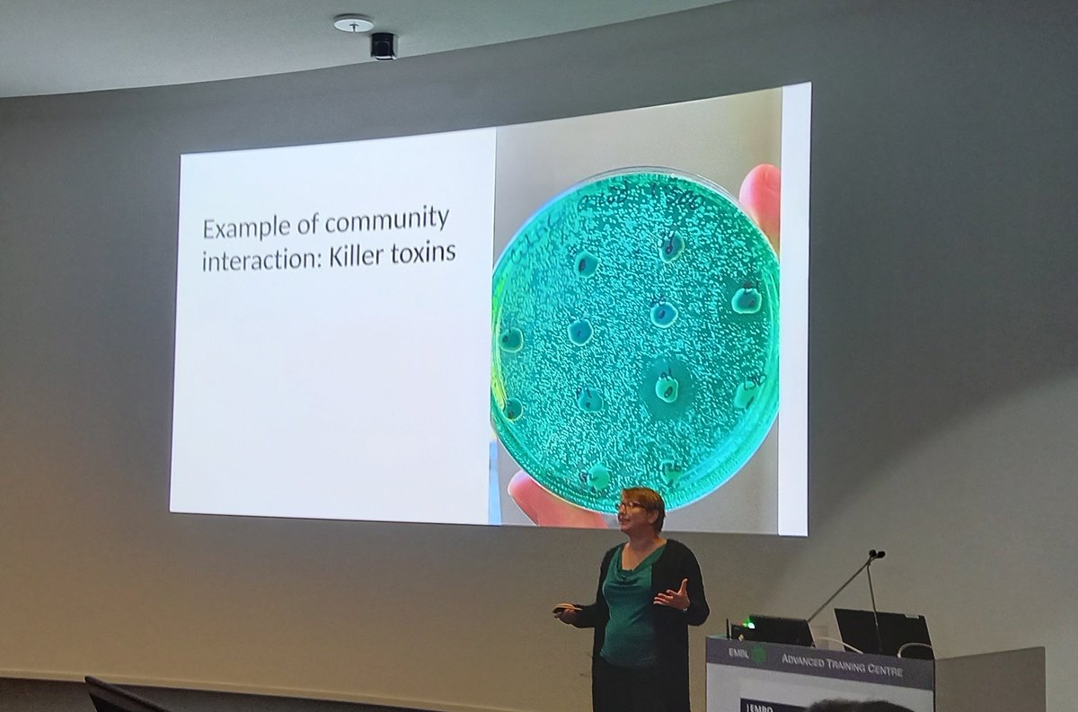 Linea Katharina Muhsal tweet media