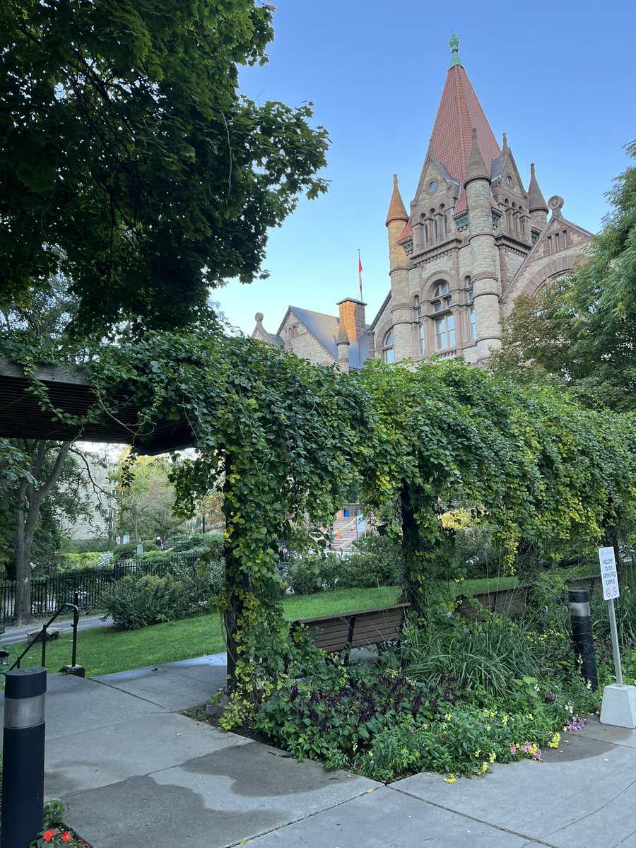catmazhar's tweet photo. It may take an hour, but I’m grateful for the option to walk to work. No fare, no road rage, no sardine can trains…just nature, fresh air and movement to set the tone for the day. Follow my routes and discoveries on IG @walkswithcat @metromorning @CBCIsmaila @TourCNTower @UofT https://t.co/EnJGmUsJ8d