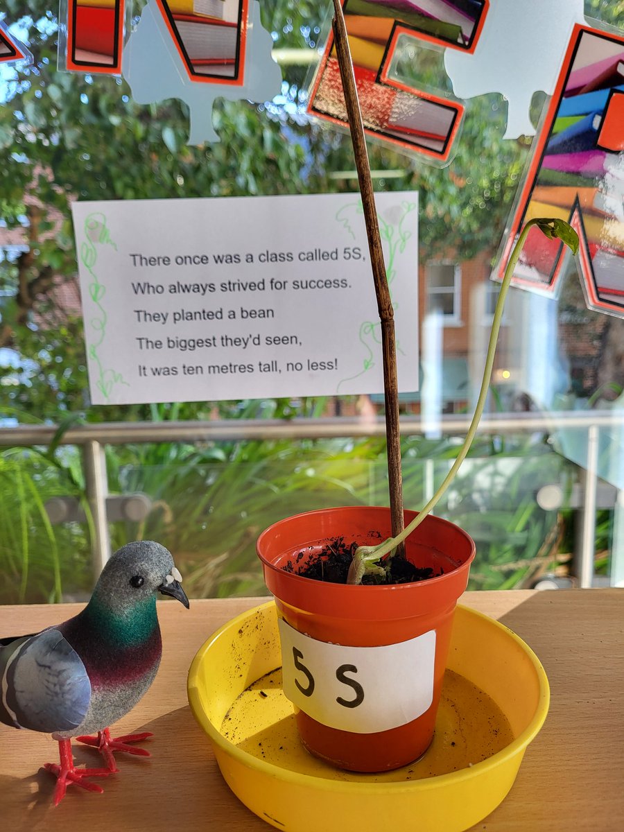RPPS_UpperS's tweet photo. Happy National Poetry Day! We worked in pairs to compose some fun limericks in class this morning. We even had one for our bean, which is growing ready for Theme Week!🌱 @RPPS_Library we'll come to find some poetry books later. @RPPS_Science #NationalPoetryDay #RPPScollaboration https://t.co/mjtGUHcGfq