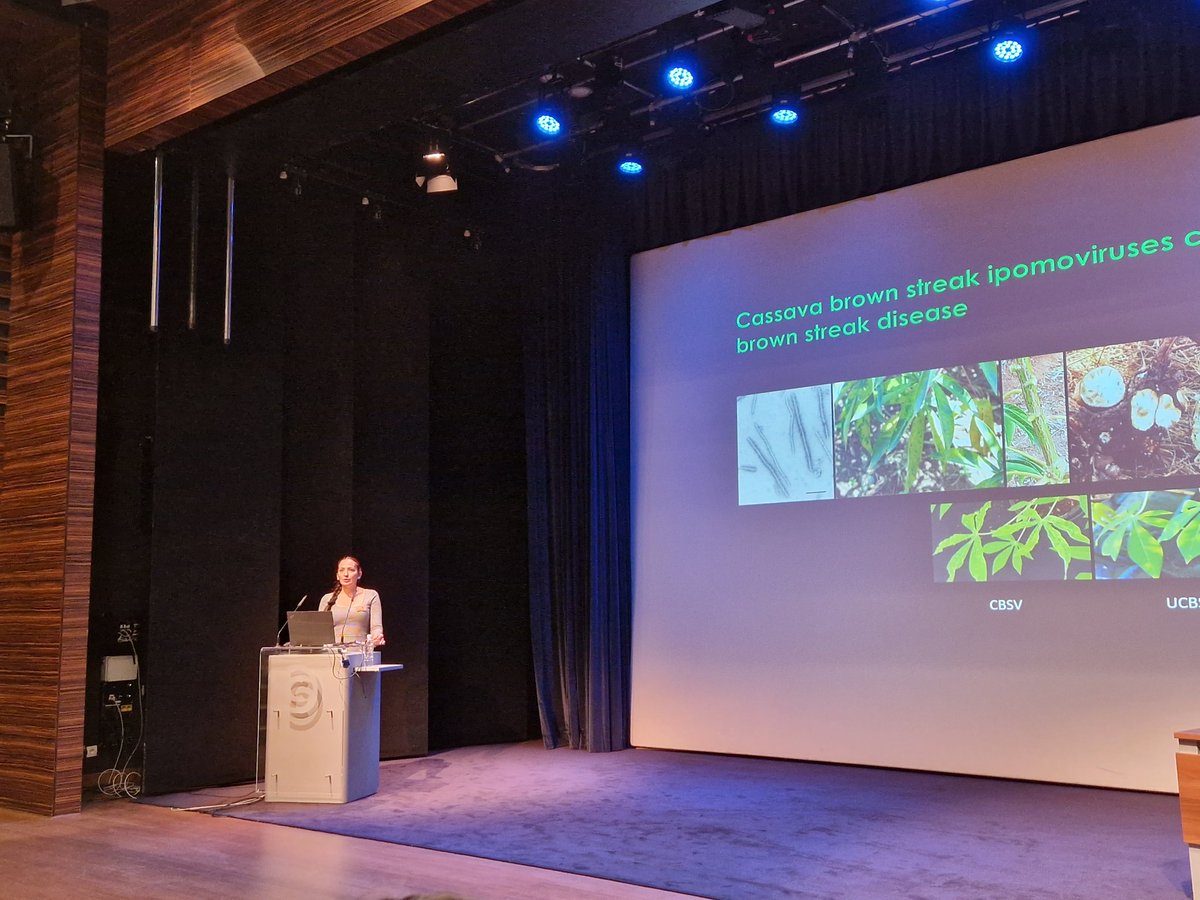 DrStephanWinte1's tweet photo. Our Dr @SamarSheat reports our work on the function of #Ham1 for infection and #resistance of #cassava at the @AABVirology Virology 
Very cool talk
@Leibniz_DSMZ_en 
 #IAPV22 https://t.co/hbWeqozDw1