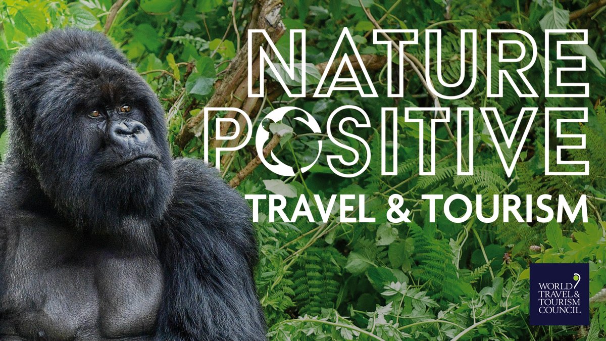 WTTC's tweet photo. Launched with #Animondial, the Nature Positive Travel &amp; Tourism is a roadmap for the industry to become Nature Positive by 2030 and to help businesses understand and manage their impact on #biodiversity ahead of the COP15.

➡️Check out: https://t.co/kiEBGSqaL4

#NaturePositive https://t.co/l1TOW5Ipdg