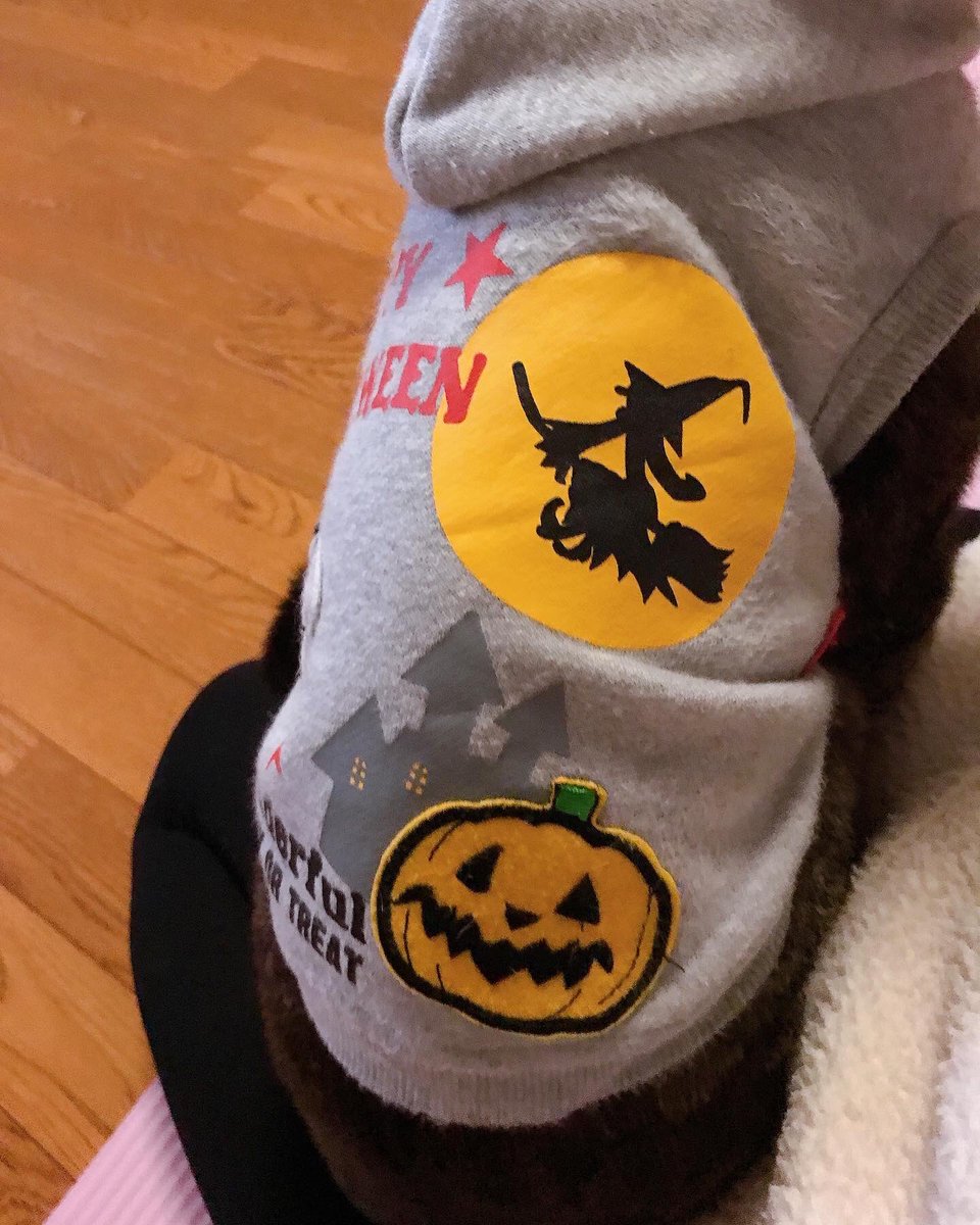 artstudioyuki's tweet photo. ハロウィン🎃 https://t.co/43VJuNpwSH