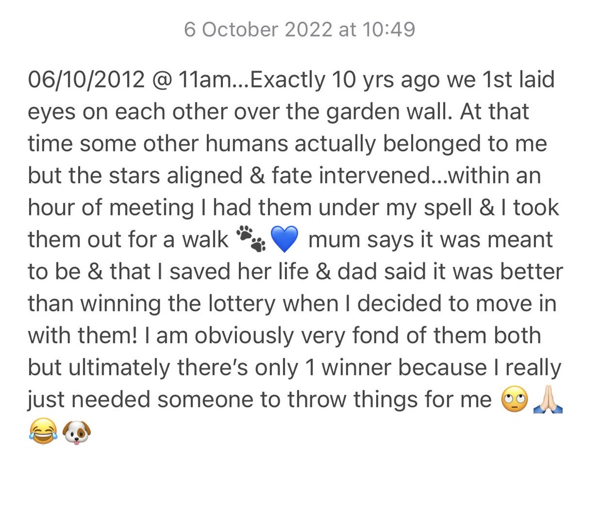 ArchieDog4's tweet photo. 06/10/2012 11am…10 yrs ago we 1st laid eyes on each other over the garden wall. At that time some other humans actually belonged to me but the stars aligned &amp; fate intervened…within an hour of meeting I had them under my spell &amp; I took them out for a walk 🐶🐾💙 #dogsoftwitter https://t.co/XxzA8X6r5s