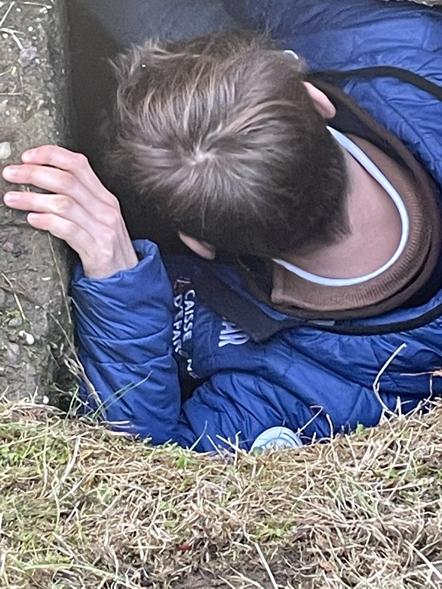 QEHS_English tweet media