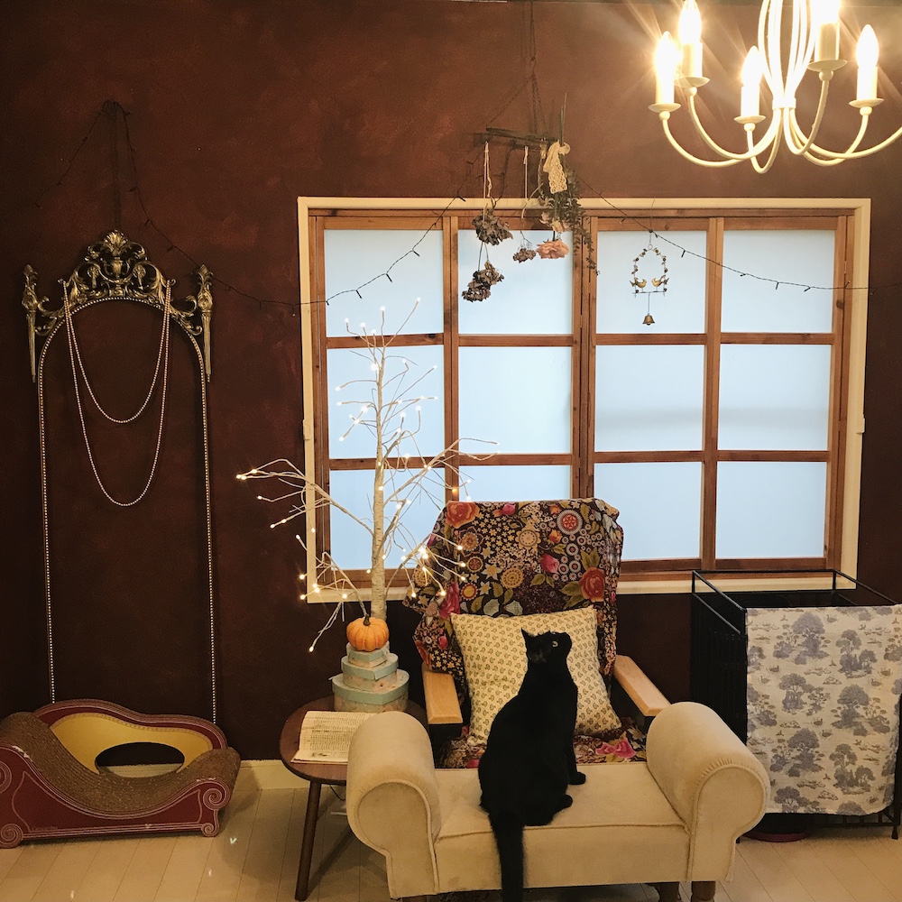 ChiyokoKana's tweet photo. Posted: "Autumn on the wall" It's been quite a while since last post. Hometalk project posted, just as I noted at the end, more pics to be added later! Enjoy the project!
https://t.co/f9NbyHItZT #hometalk #chiyokokana #livingroom #Painted #blackcats https://t.co/hi6f4lycyQ