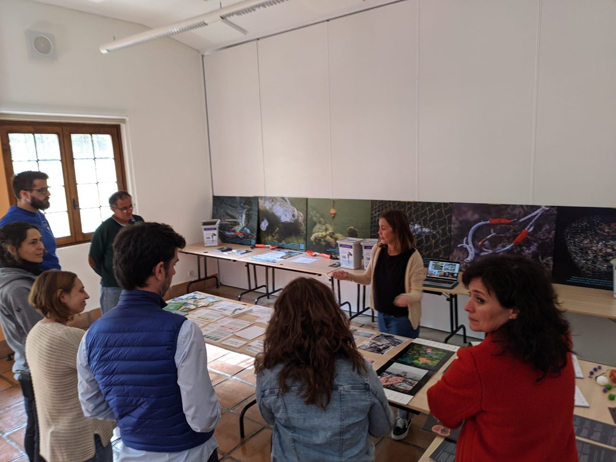 ICMCSIC's tweet photo. 🌊 Les nostres companyes van assistir ahir al primer seminari de #Reeducamar, la Xarxa d'Inventari de Recursos d'Educació Marina a Espanya. 

⁉️L'objectiu? Discutir el paper de l'educació en la protecció del medi marí.

#CENEAM #OAPN #AULAMAR
@resbios @paticientific https://t.co/8madbPM1pR