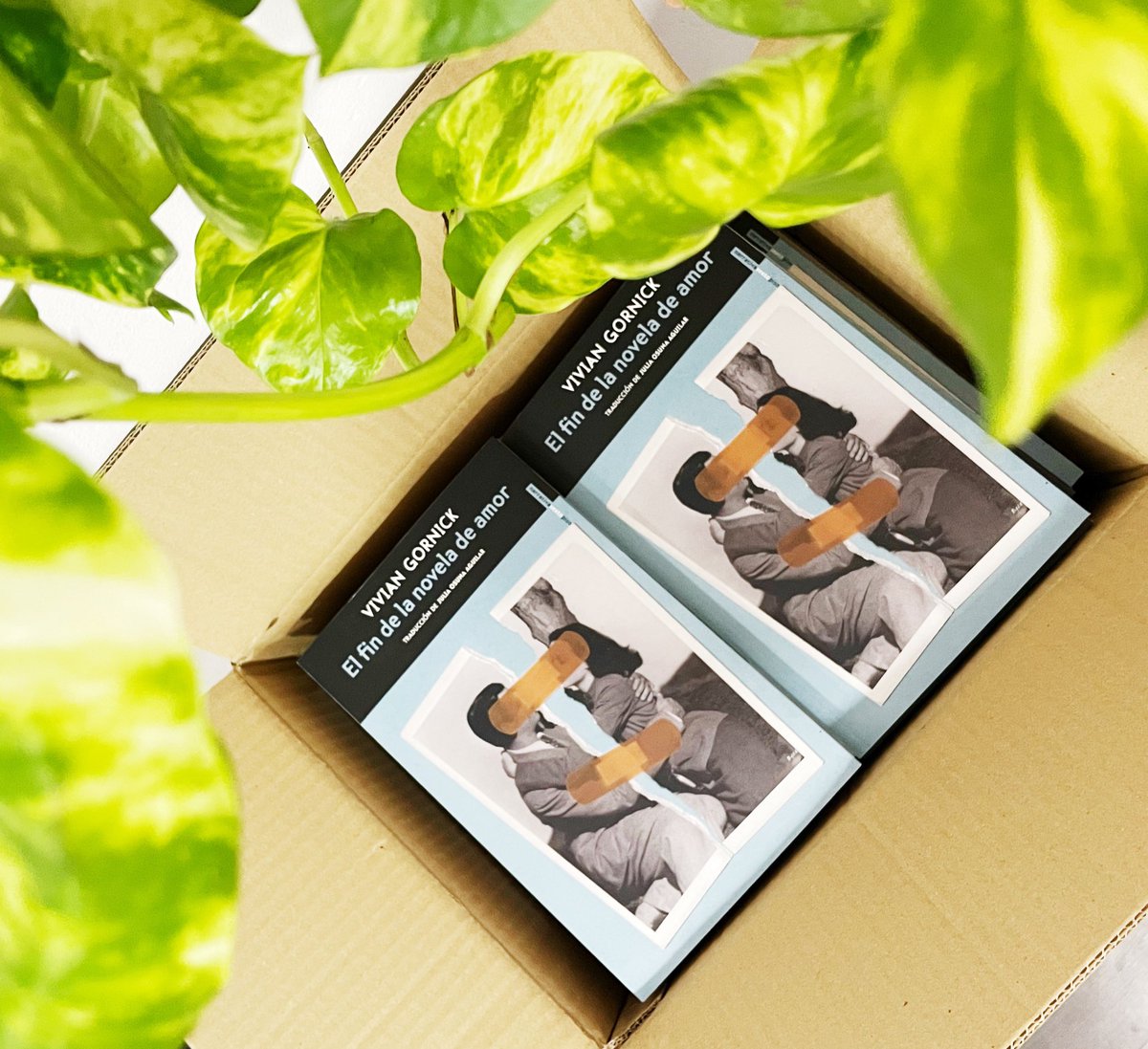 sextopisoed's tweet photo. El 7 de noviembre vuelve Gornick a librerías. 🔥 https://t.co/f7ZK1Q4DLn