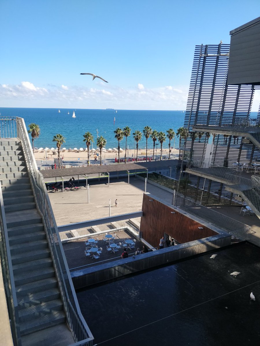 Aurélien Luciani tweet media