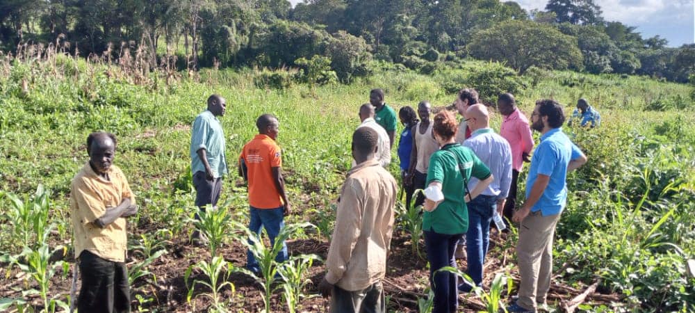 NLinSouthSudan's tweet photo. Thank you for the efforts @FondazioneAVSI South Sudan you are doing for #RURALSS project! Some pics from their Logire Cooperative visit. We acknowledge access constraints that are faced by our partners &amp; why we also work on feeder roads with @WFP_SouthSudan @IFAD #foodSecurity https://t.co/EUGFyCZBdv