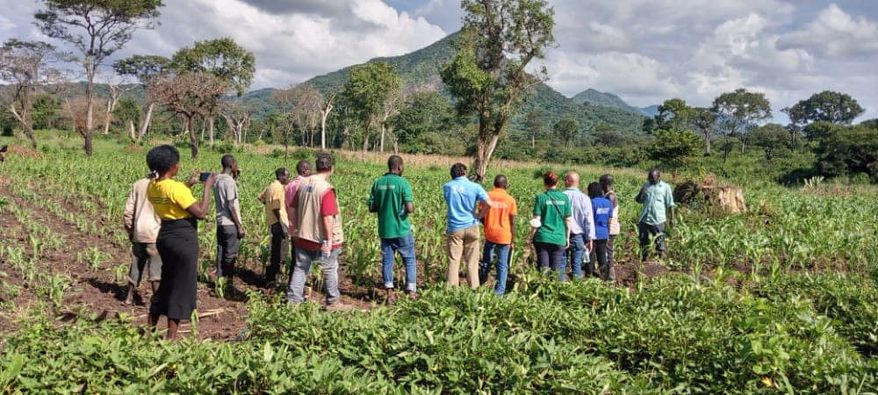 NLinSouthSudan's tweet photo. Thank you for the efforts @FondazioneAVSI South Sudan you are doing for #RURALSS project! Some pics from their Logire Cooperative visit. We acknowledge access constraints that are faced by our partners &amp; why we also work on feeder roads with @WFP_SouthSudan @IFAD #foodSecurity https://t.co/EUGFyCZBdv