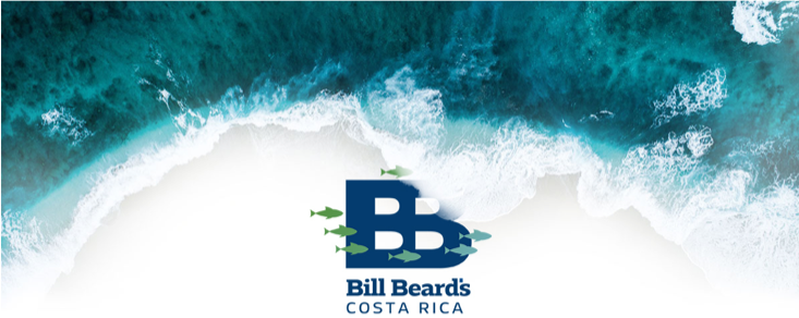 bbbbeard's tweet photo. DEMA SHOW 2022 - Bill Beard's Costa Rica will be in booth #1731 - Seminar on Thursday Nov. 3rd Room S310F at 11:00 a.m. Lots of specials and door prizes. See one of our many special right here: https://t.co/mhS0jy07GM... Schedule a meeting agent@billbeardcostarica.com https://t.co/9t2Zf5SKkn