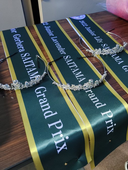 Twitterのコスプレ画像19