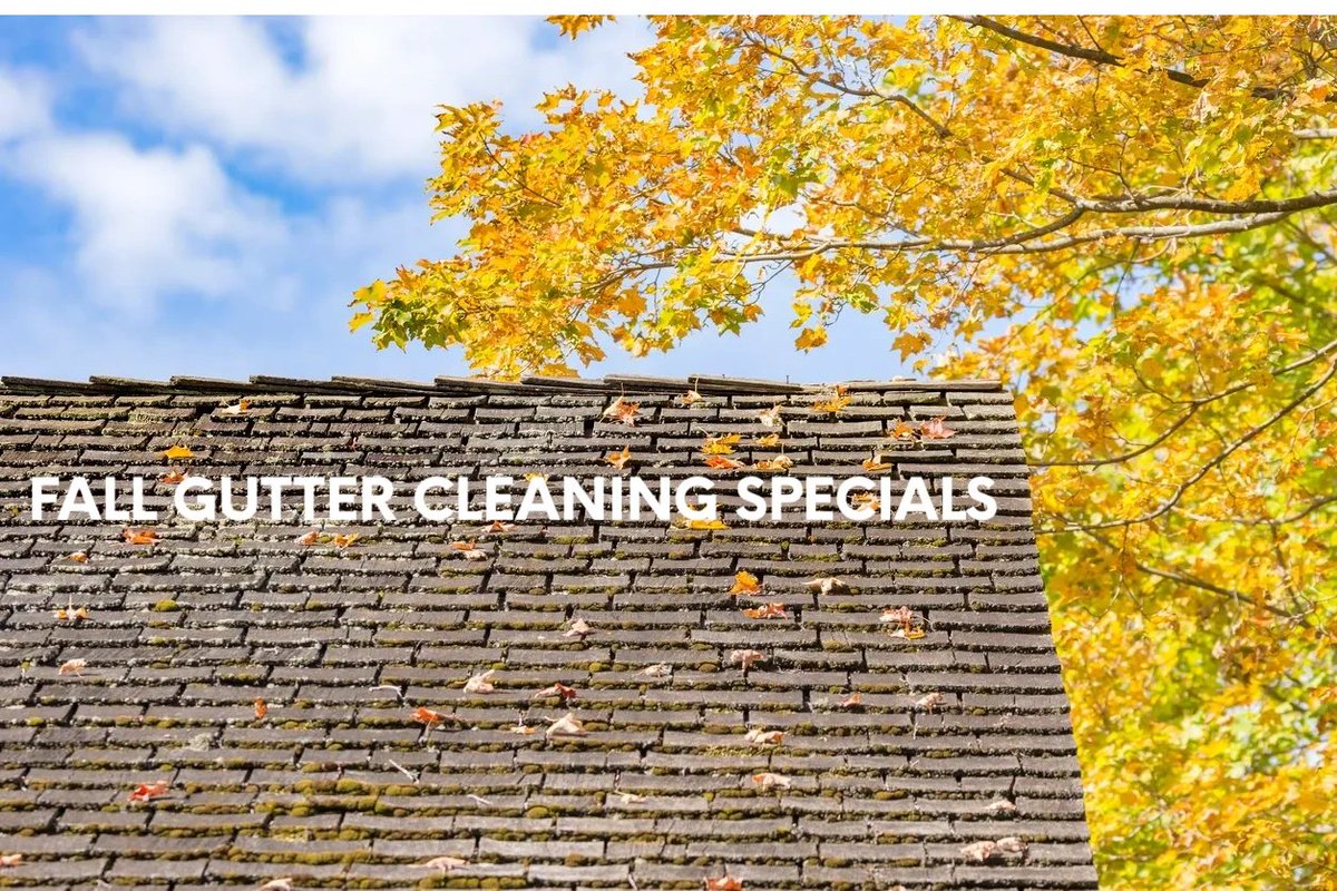 TheFreemanGuy's tweet photo. Don't fall behind! Book your Gutter Cleaning Service early and get 50% off! or a Patio Power Wash for Free! ***200 sq ft max on the Patio Power Wash. valid 10/15/22

https://t.co/ZNoLRFLXFM https://t.co/ouKQ8RKamG