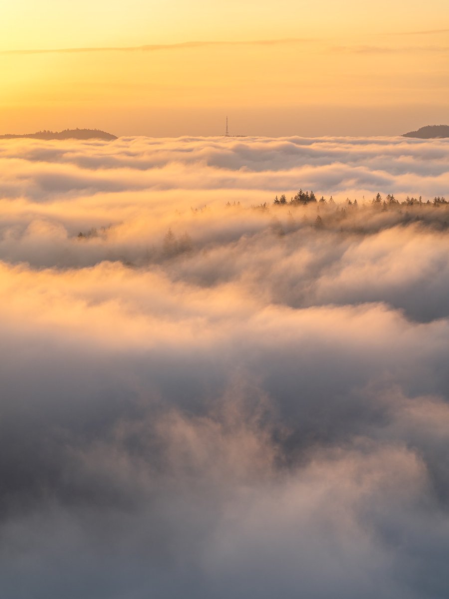 CedricSchell's tweet photo. Un beau matin au dessus des nuages en Alsace. https://t.co/VCPoYemxKE