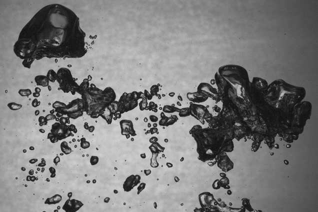 [#Séminaire #IRPHE] le 7/10 à 11h00 : « #Bubble break up in #turbulent #flows » Stéphane Perrard / <a href="/ESPCI_Paris/">ESPCI Paris - PSL</a>  combine #numerical and #experimental data to explain the origin of the small bubble size distribution.
➡️federation-peiresq.cnrs.fr/spip.php?artic…