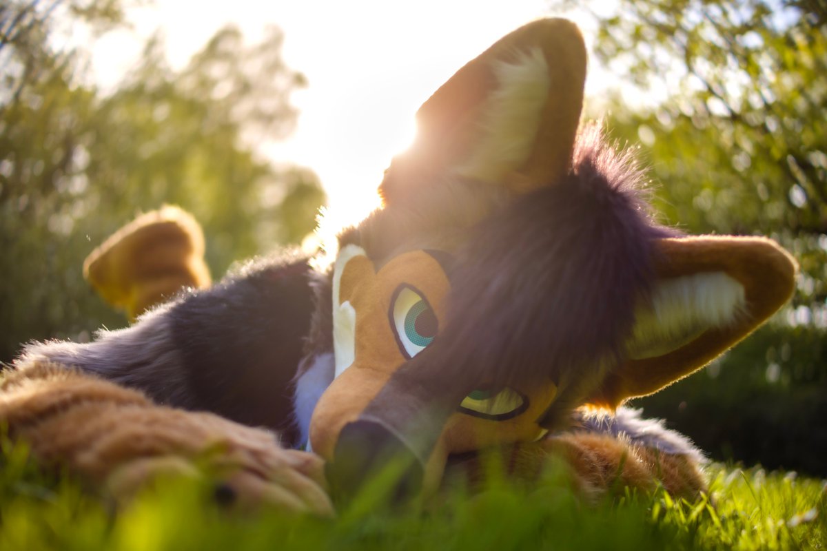 Wasnt entirely sure if i wanted to join the bandwagon, as im usually bad with this.
but im challenging myself so we go! :D

📸:<a href="/CaptainChaotika/">🌻 混沌的隊長 ➡️ AFC</a> 
✂️:<a href="/CritterWorkshop/">Critter Workshop</a>