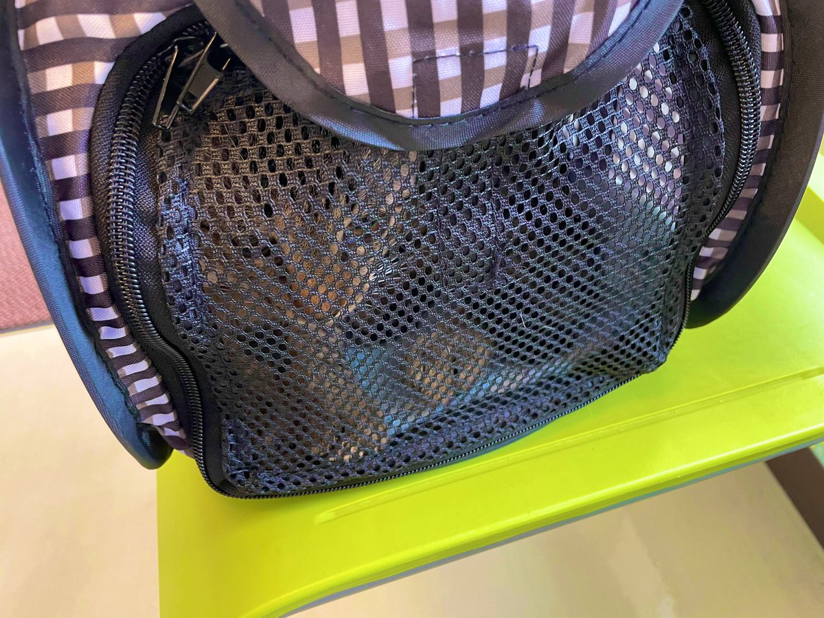🐈ホタテ初めての病院🏥
頑張りました。昨日で生後6ヶ月。
体重4.4キロでした。鳴かず暴れず。乗り物酔いしてたので途中、休憩しながら到着。ネットから出ても診察台で大人しかった。帰宅後は走りまわっています。飲み薬をちゅーるに混ぜても飲まないので四苦八苦。粉にしてウェットフードに混ぜよう。