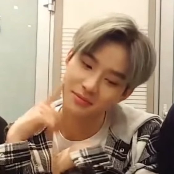 샐리 tweet media