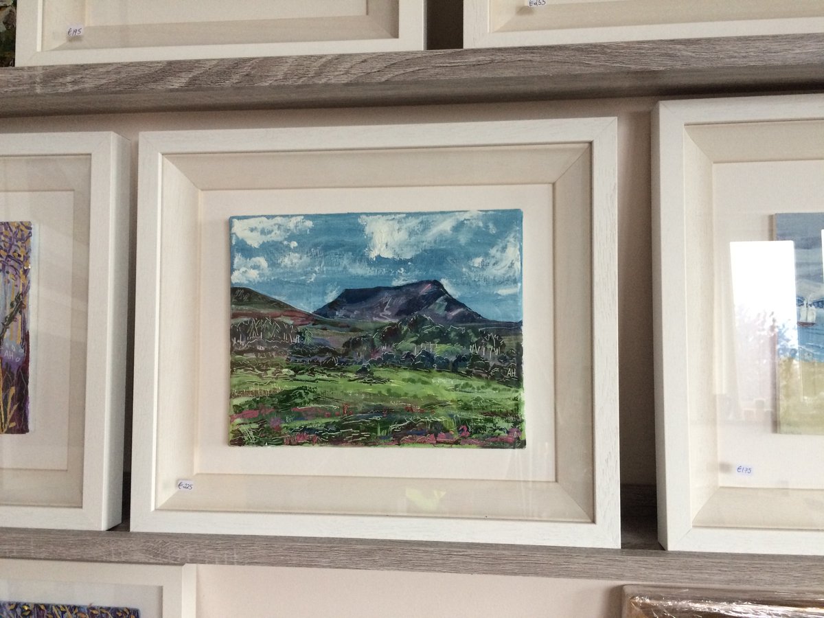 There are lots of paintings in my home gallery  #shoplocal #muckish #donegal #lovedonegal #oilpainting #framedart #interiors #irishinteriors #irishdesigner #irishdesign #art #artwork #letterkenny #gallery #studio #wildatlanticway #waw #ireland #gift #christmas #shop #buyart