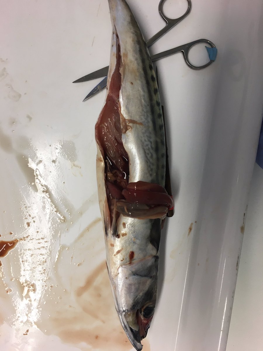 Richard Burchmore tweet media