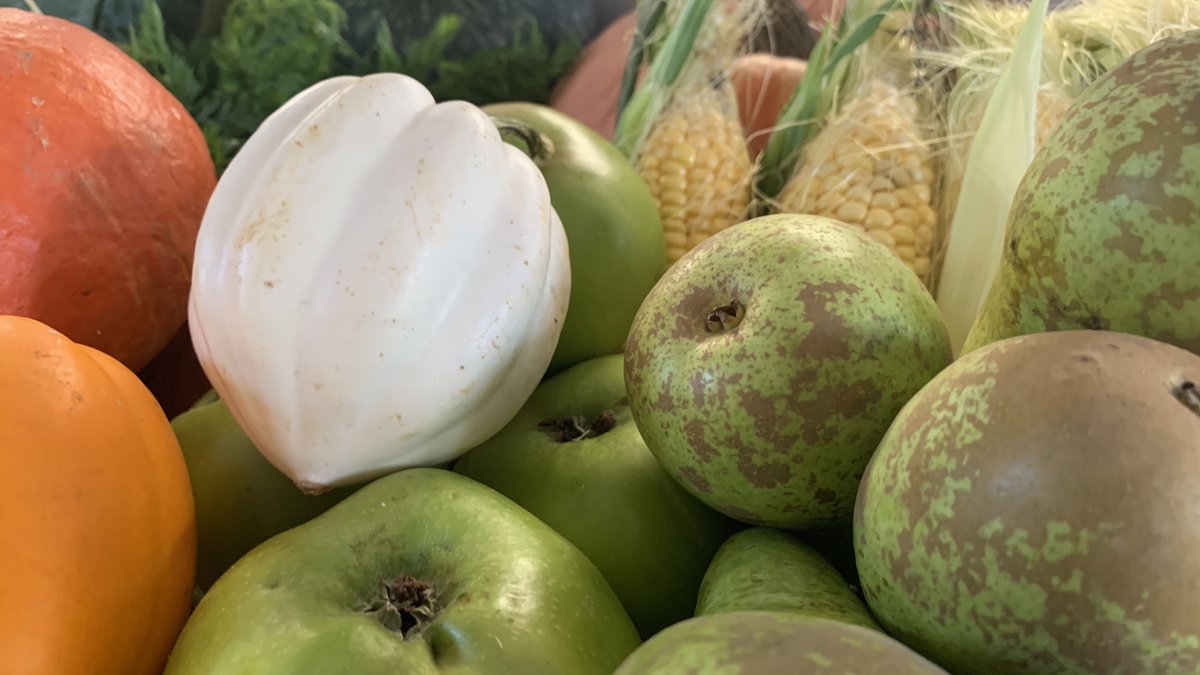 itstwelve15's tweet photo. #harvestfestival #vegetables #fruits #harvest display by @ag_axton This is the #quality of fresh produce we are using every single day. <3
#fresh #tasty #deliciousfood #schoolmeals #schoolfood https://t.co/BZUj8pz1KX