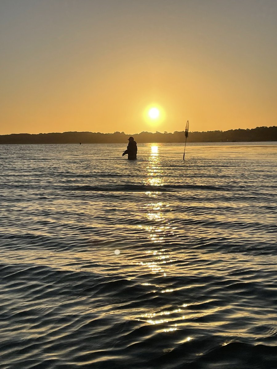Chasing the elusive brownies at Rutland at first light #browntrout #besttimeoftheday #flyfishing