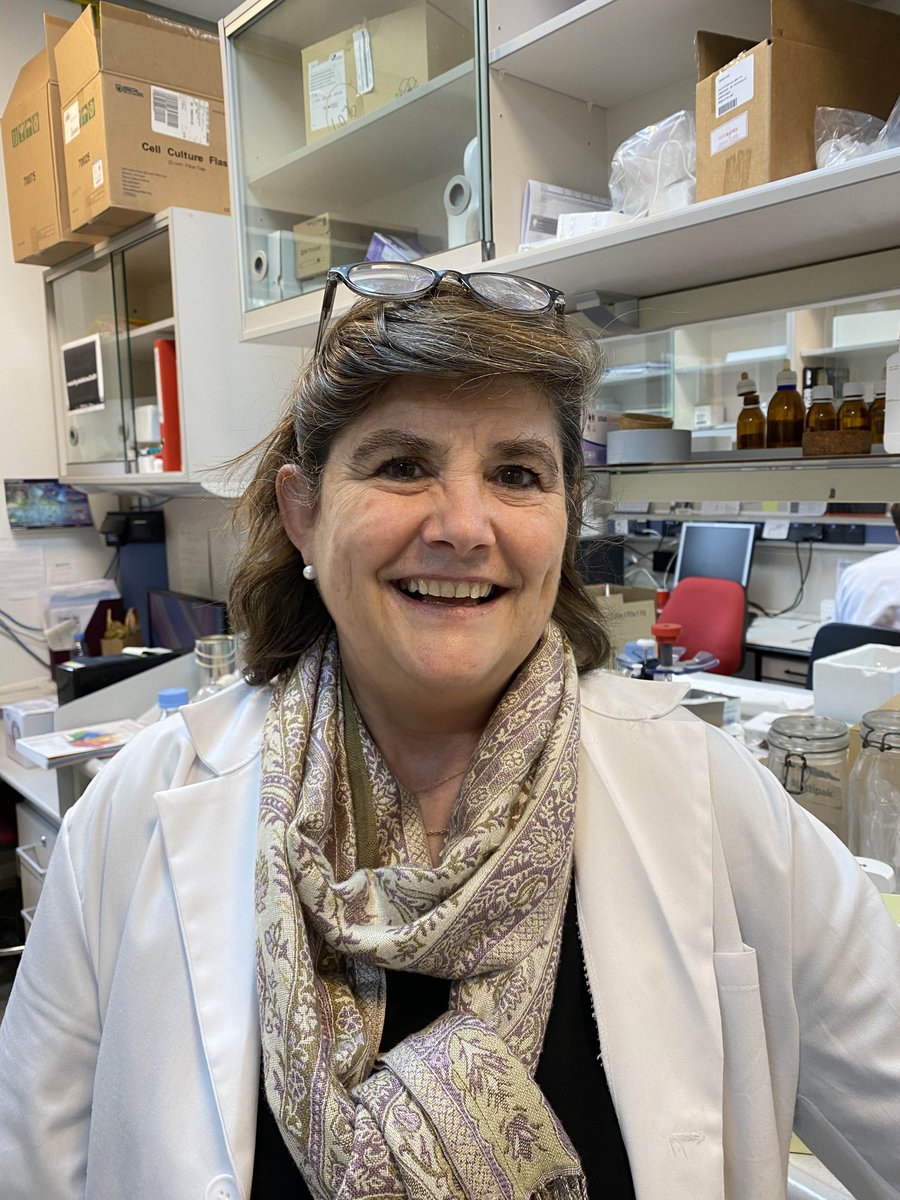 CSIC's tweet photo. Los investigadores del CSIC José Cernicharo (@iff_csic), Ana Martínez (@CIB_CSIC) y Luis Moreno (@IPP_CSIC), reciben el Premio Nacional de Investigación, el máximo reconocimiento nacional a la investigación científica. 
¡Enhorabuena a los premiados!
➡️https://t.co/ek1PuOaecR https://t.co/T5XunrdaR3