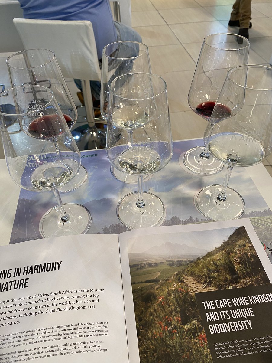 wine.co.za | South African Wine (@winecoza) on Twitter photo Tasting sustainably produced wine from Conservation Champs <a href="/MerwidaWines/">Merwida Winery</a>, <a href="/BolandCellar/">Boland Cellar</a> & <a href="/PlaisirEstate/">Plaisir</a>.
#CapeWine2022 #followthesugarbird Tasting sustainably produced wine from Conservation Champs <a href="/MerwidaWines/">Merwida Winery</a>, <a href="/BolandCellar/">Boland Cellar</a> & <a href="/PlaisirEstate/">Plaisir</a>.
#CapeWine2022 #followthesugarbird
