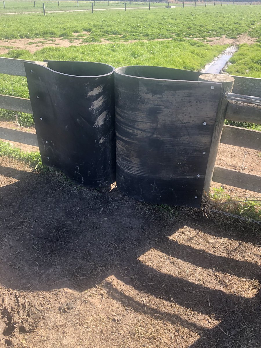 Robbie Tole tweet media