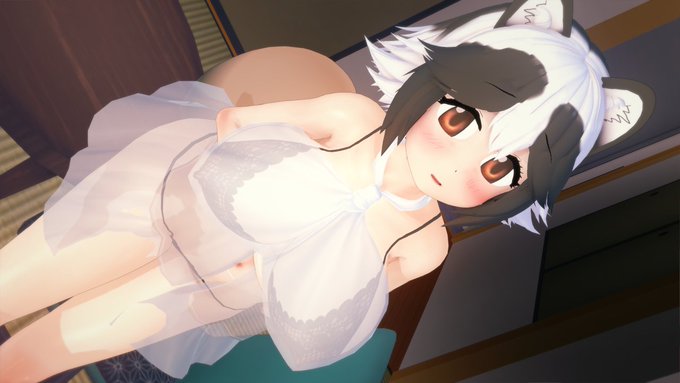 二つ目はタヌキです。 個人的には、タヌキがシーンを変形しても柄が消えずによく写るようです。 