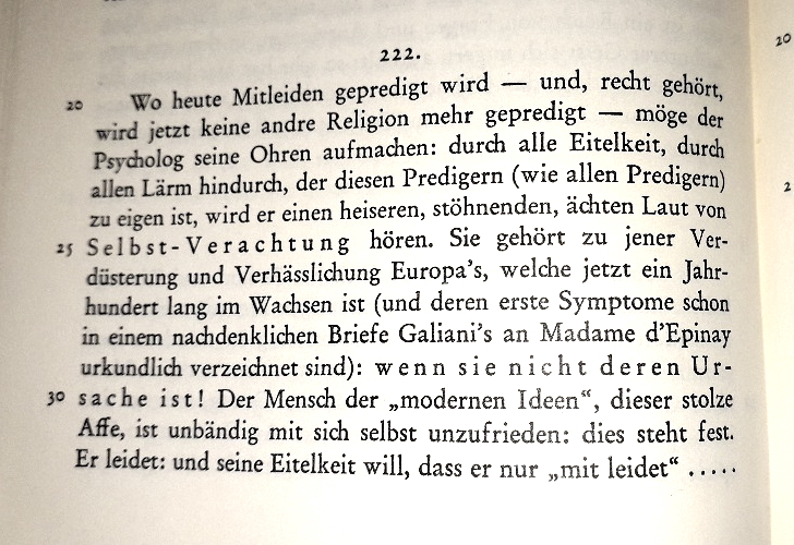 Spannend, dass Nietzsche den psychologischen Zustand unserer heutigen Gesellschaft mit ihren aus „Mitleid“ offenen Grenzen so präzise vorhersagen konnte: