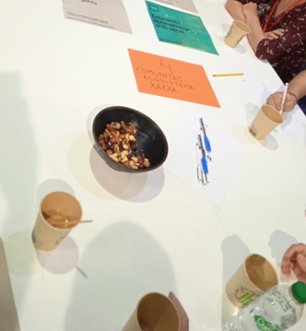 Institut Escola Lluís Millet tweet media